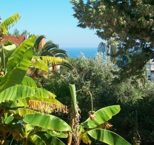 Sanremo