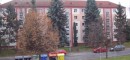 Снимок 2013-03-13 19-31-23.jpg